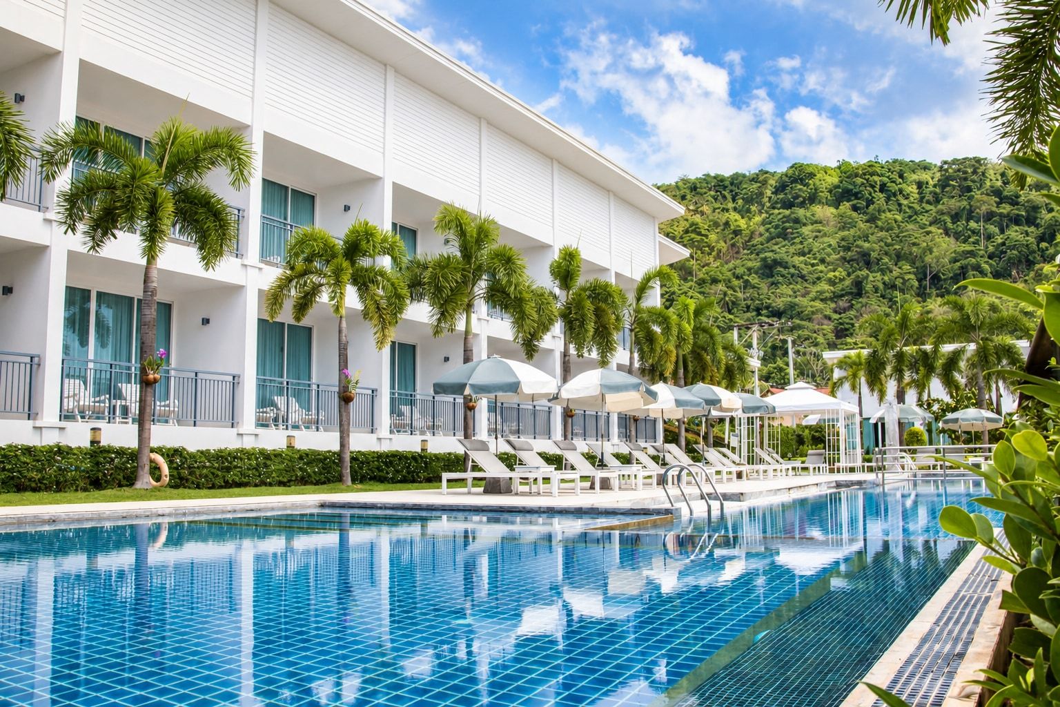 An outdoor pool, with loungers beneath the palms.